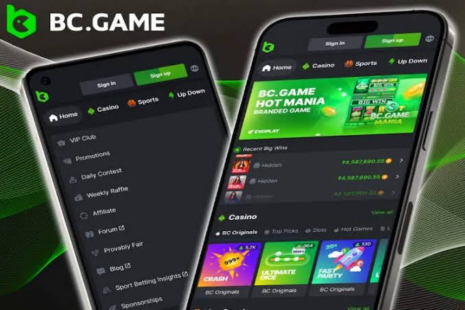 BC.Game Login Process A Step-by-Step Guide BC.Game Login Process A Step-by-Step Guide